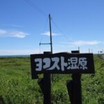 【北海道　散歩】白老町　ヨゴスト湿原に散歩に行きました